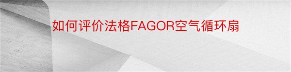 如何评价法格FAGOR空气循环扇