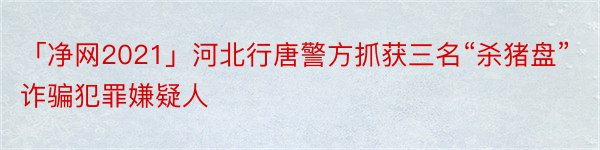 「净网2021」河北行唐警方抓获三名“杀猪盘”诈骗犯罪嫌疑人