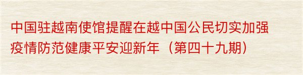 中国驻越南使馆提醒在越中国公民切实加强疫情防范健康平安迎新年（第四十九期）