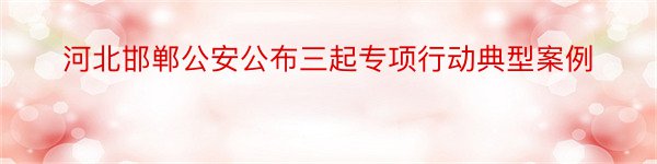 河北邯郸公安公布三起专项行动典型案例