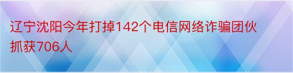 辽宁沈阳今年打掉142个电信网络诈骗团伙抓获706人